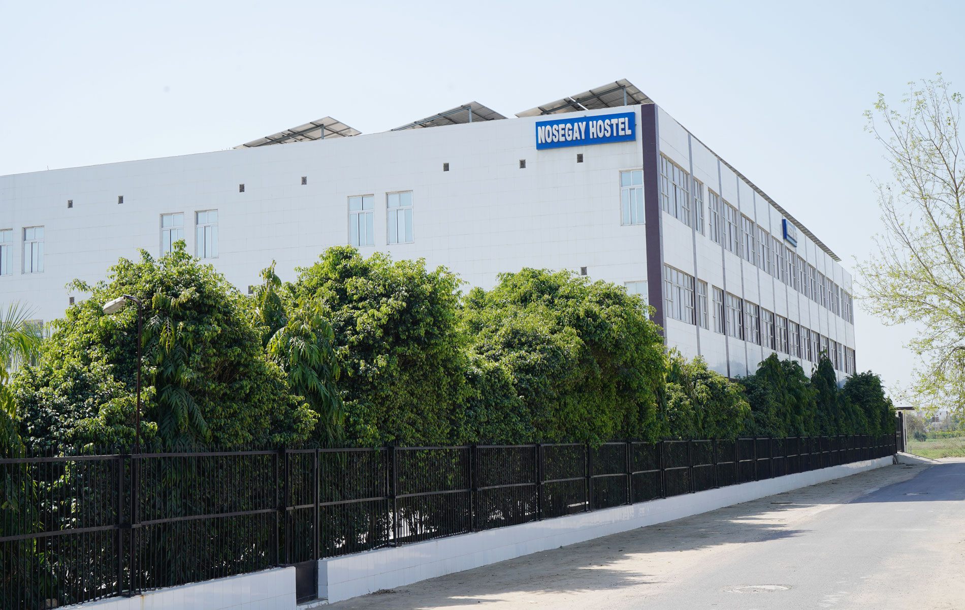 Nosegay Boys Hostel Sri Ganganagar